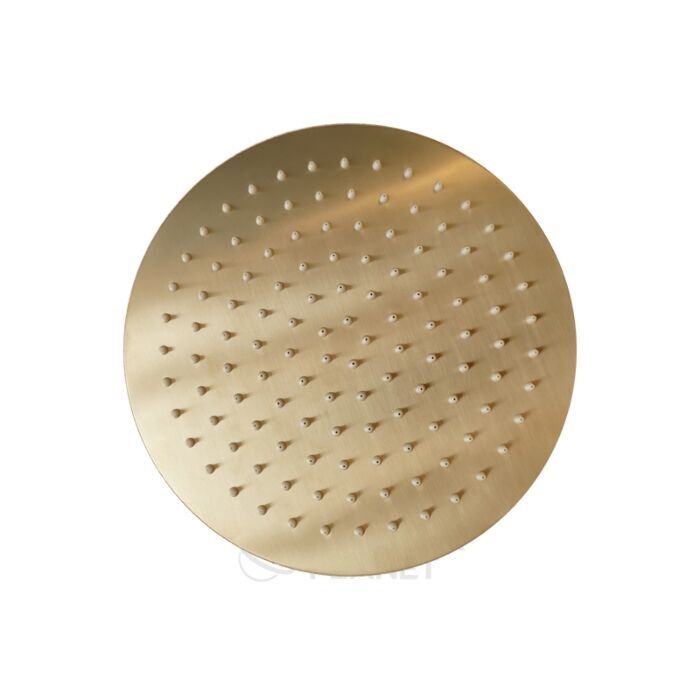 Hoofddouchekop ultra thin Goud Geborsteld rond 25 cm