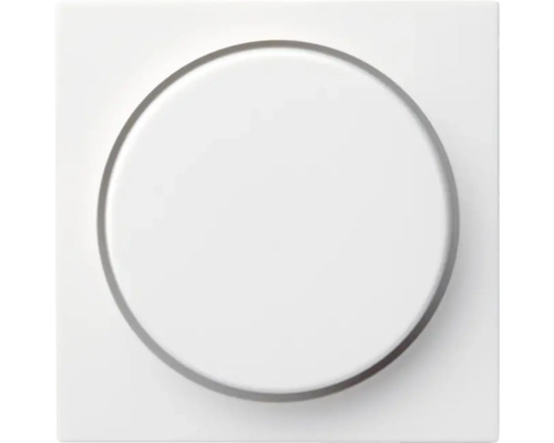 Gira System 55 centraalplaat voor dimmer zuiverwit glans