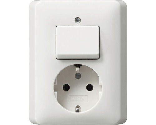 Gira Standard 55 combinatie stopcontact + schakelaar zuiverwit glans